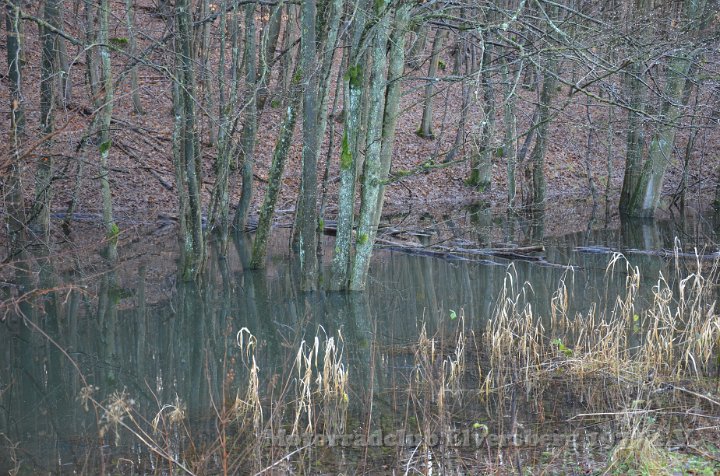 Wandertag 2012 - 111.JPG